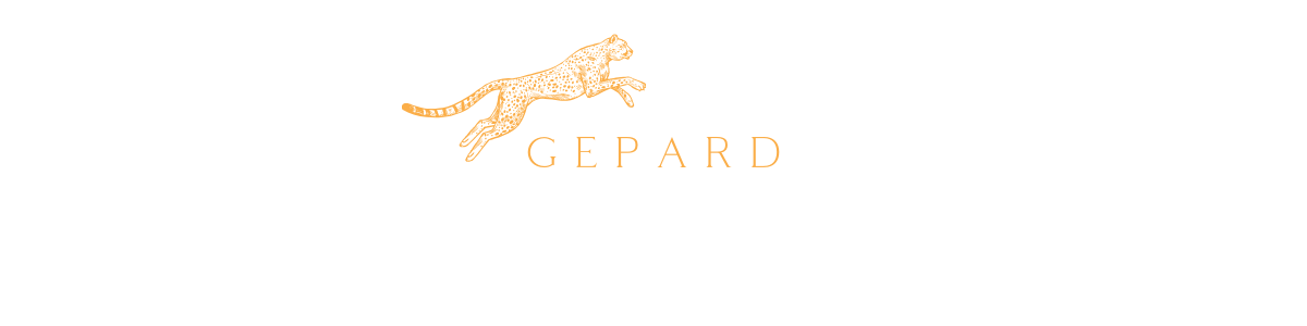 Gepard Garage Performance Tuning